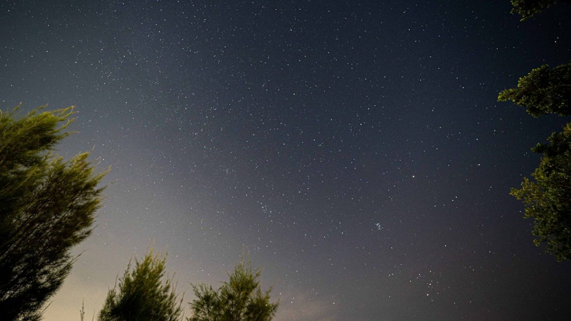Under the starry sky by the sea, the scene unfolds like a poetic masterpiece, filled with enchantment and wonder.